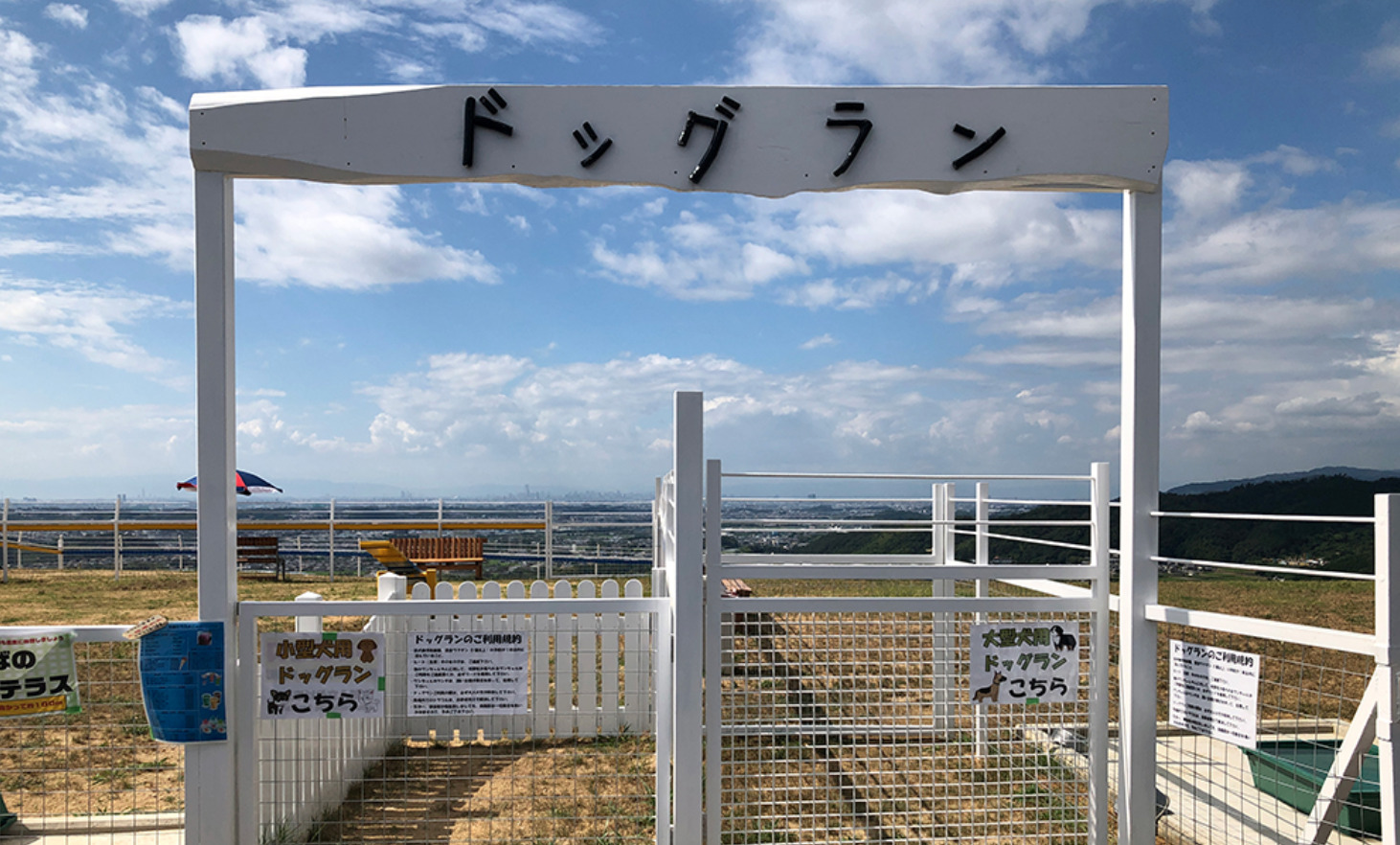 貸切 ドッグラン 関西