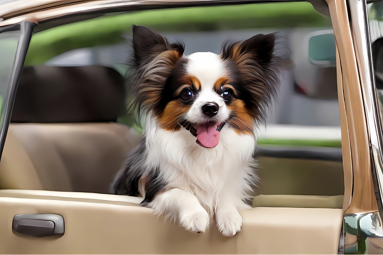 [奈良]犬同伴OK!ペットも嬉しいおすすめのおでかけスポットを紹介