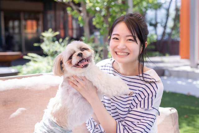 【神奈川】犬が喜ぶ！人気ドッグカフェを一挙紹介