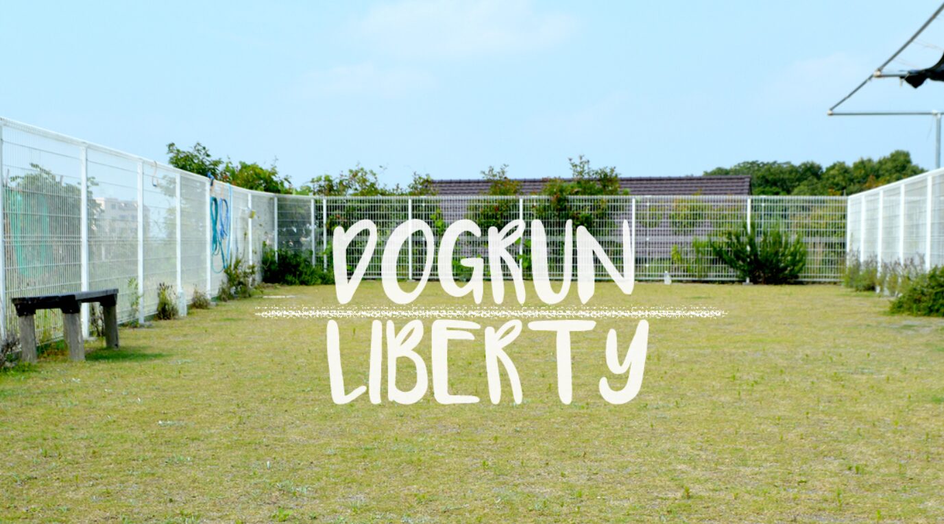 ドッグランLIBERTY