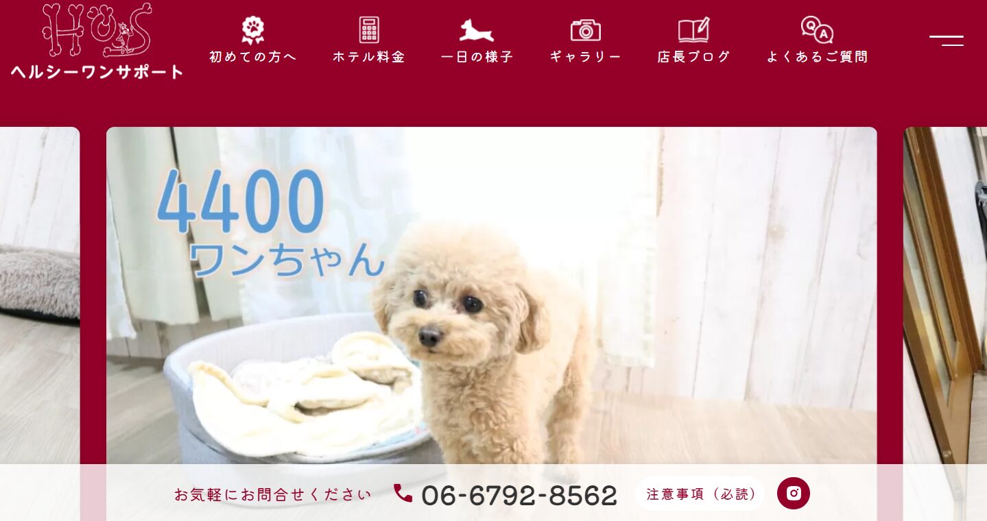 ヘルシーワンサポート